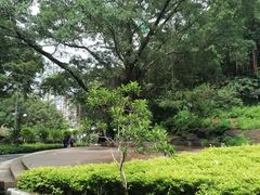 -晓港公园