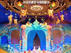 -海合安武汉极地海洋公园
