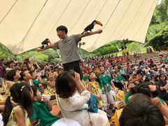 -新加坡飞禽公园