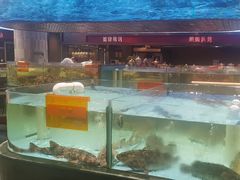 -国惠大酒楼(仓山万达店)