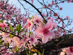 -南京工程学院(江宁校区)