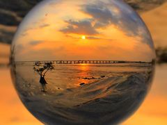 -宝安西湾红树林湿地公园