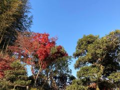 -径山寺