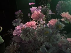 -黑桃K生日订制KTV