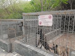 -麦当劳(双榆树店)