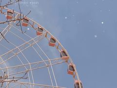 -顾村公园