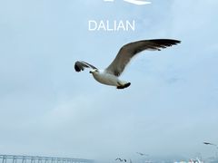 -星海广场