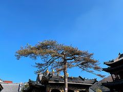 -重捞鲜毛肚火锅(东方不夜城店)
