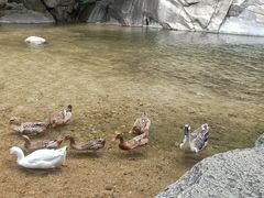 -黑龙潭风景区