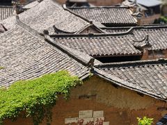 -杨家堂村