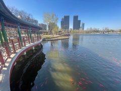 -西海子公园