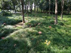 -白塘生态植物园