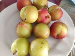 -北京龙庆四季香农家饭庄·灶台鱼·碳烤虹鳟鱼(龙庆峡店)