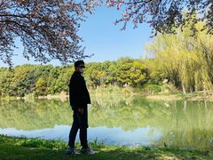 -昆山城市生态森林公园