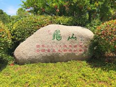 -徐州龟山景区
