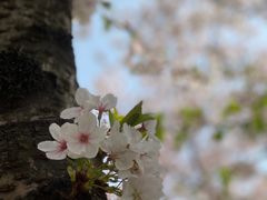 -龙美术馆(西岸馆)