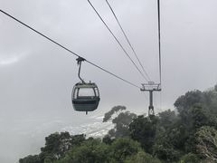 -热带雨林自然公园