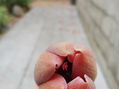 -烈士陵园(地铁站)