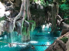 -福州罗源湾海洋世界旅游区