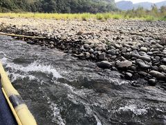 -九曲溪竹筏码头