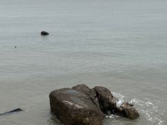 -黄金海岸环岛路