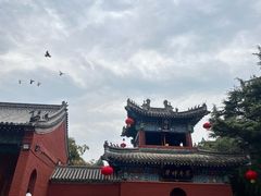 -洛阳白马寺