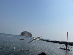 -棒棰岛宾馆景区