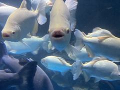 -多彩贵州城极地海洋世界