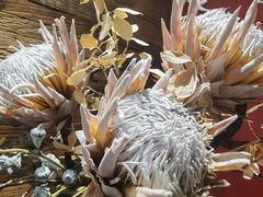 -恬阿姨庭院餐厅·生日宴