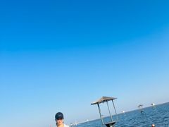 -碧海金沙