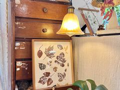 -知物癖(牛王庙店)
