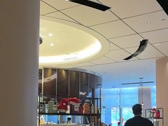 -上海浦东滨江喜来登酒店