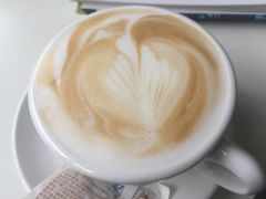 -喵的天空名猫咖啡馆·撸猫·猫舍·用品