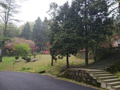 -溪口商量岗景区