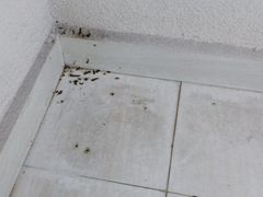 -上海南汇嘴大堤酒店