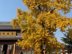 -上海青龙寺