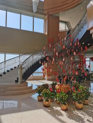 -上海明天广场JW万豪酒店·宴会厅