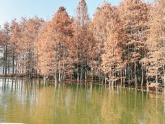 -尚湖风景区