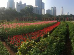 -万绿园