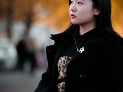 -三里屯东五街银杏大道