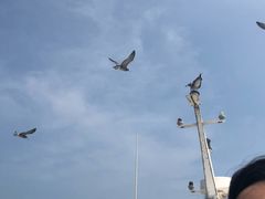 -海驴岛(荣成市)