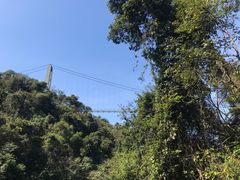 -南丹山森林王国