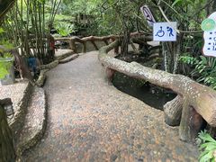 -绿光森林餐厅