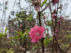 -水濂山森林公园