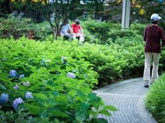 -新江湾城公园