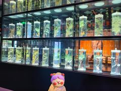 -广东中医药博物馆