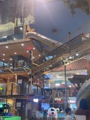 点击看大图 -卡通尼·Safari非洲探索乐园·生日会(金桥国际商业广场店)