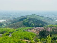 -冶父山国家森林公园