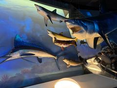 -陕西自然博物馆