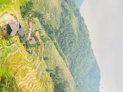 -紫鹊界梯田景区